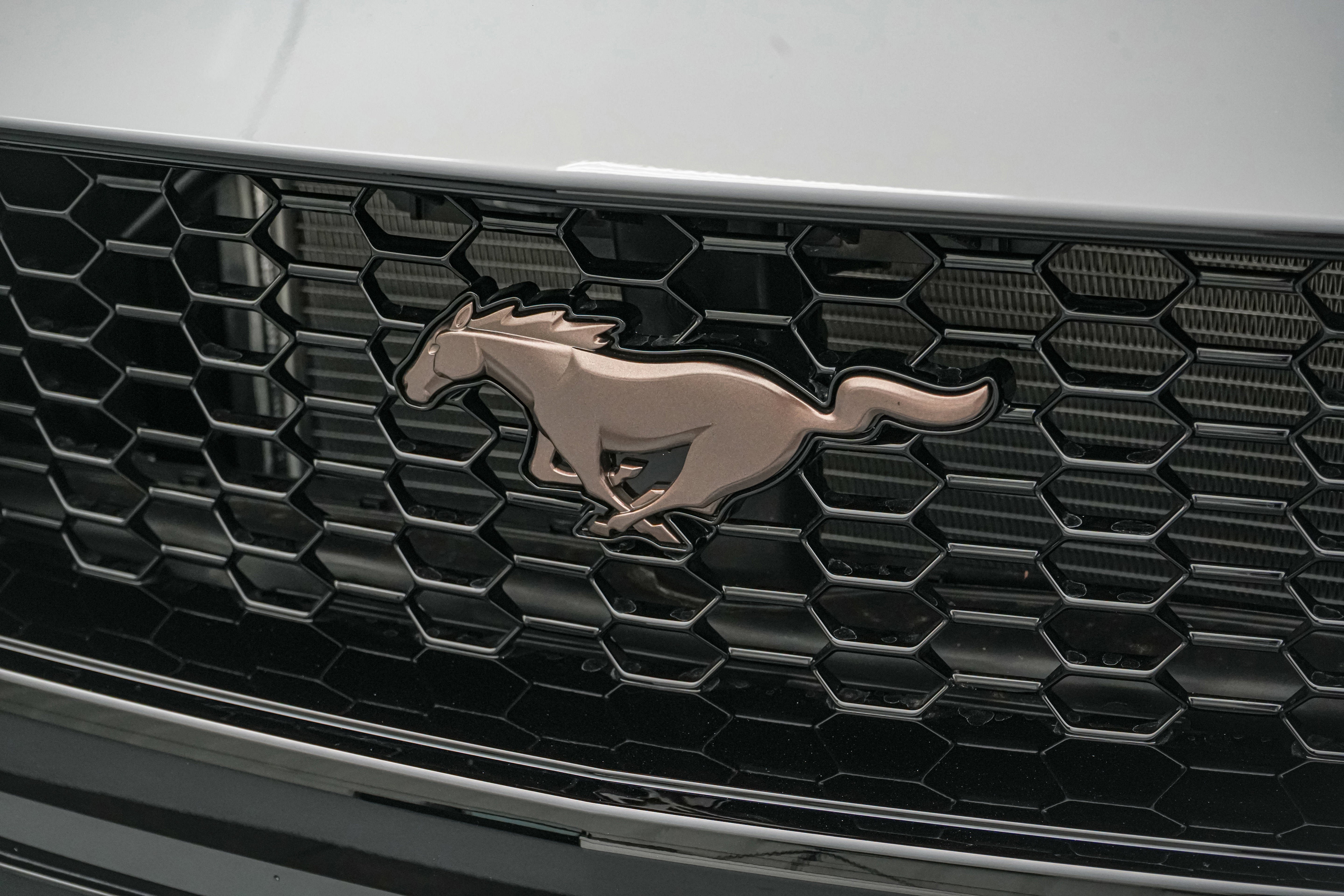 2026 Ford Mustang LMP 810 75th Anniversary Edition