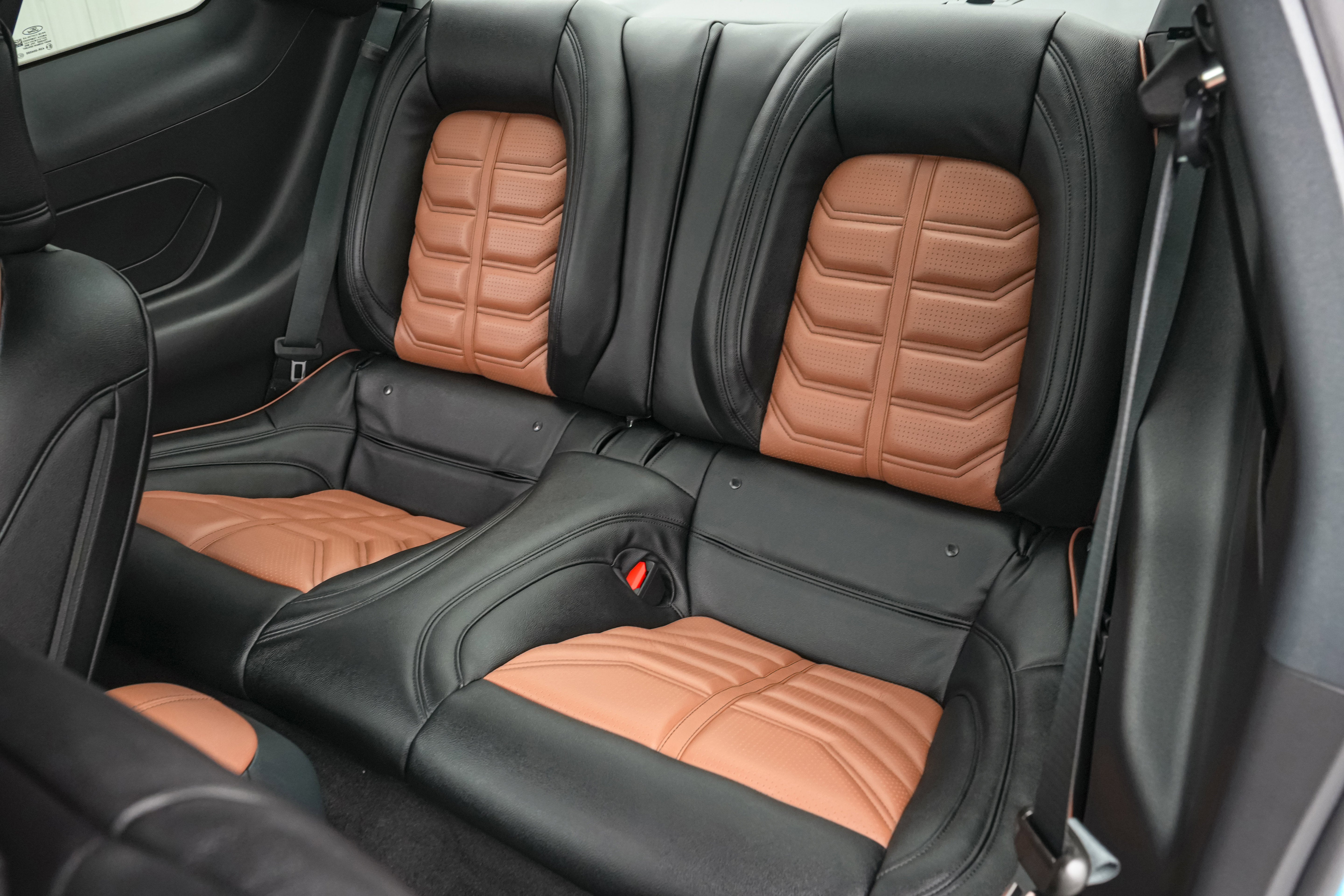 2026 Ford Mustang LMP 810 75th Anniversary Edition