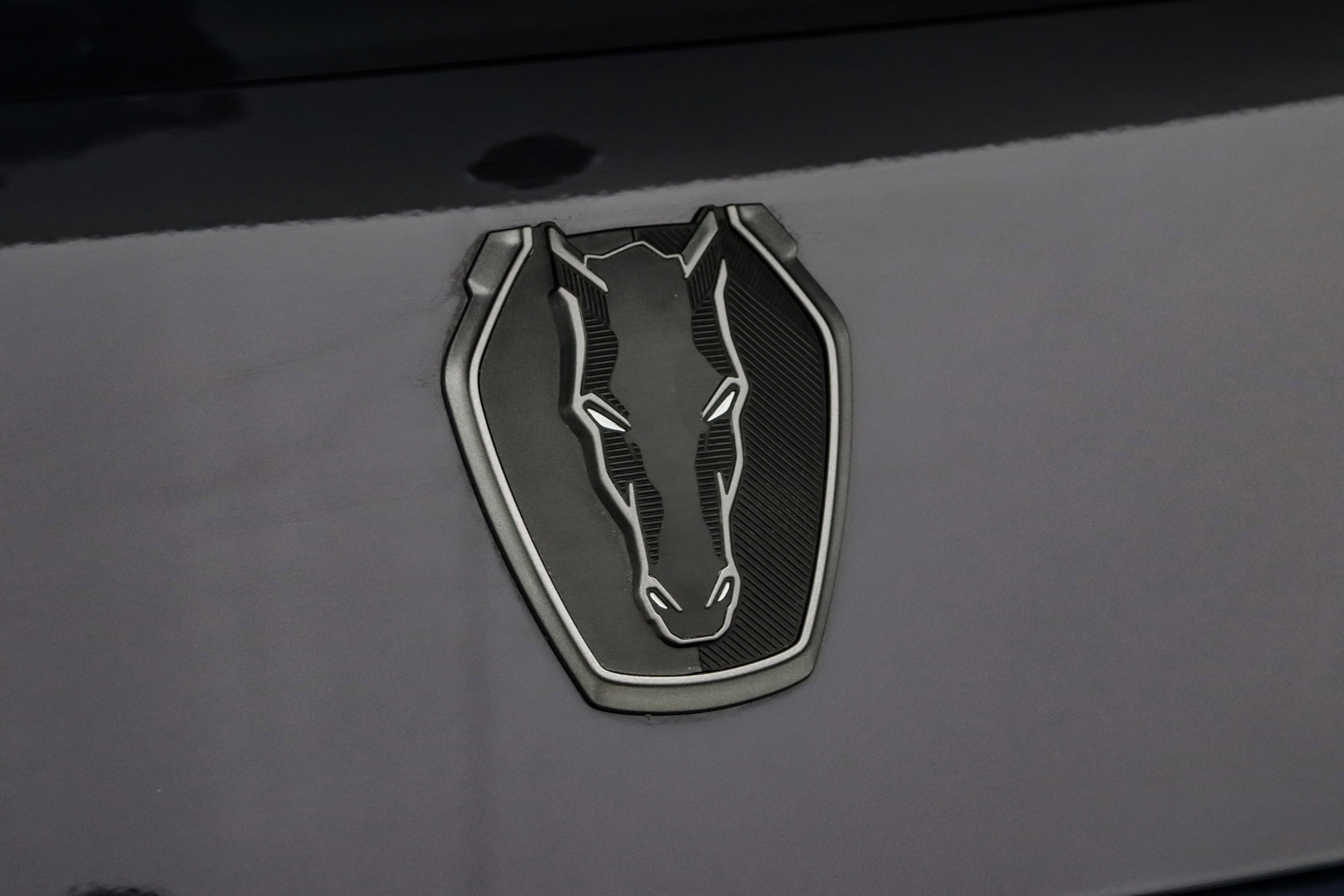 2025 Ford Mustang Dark Horse