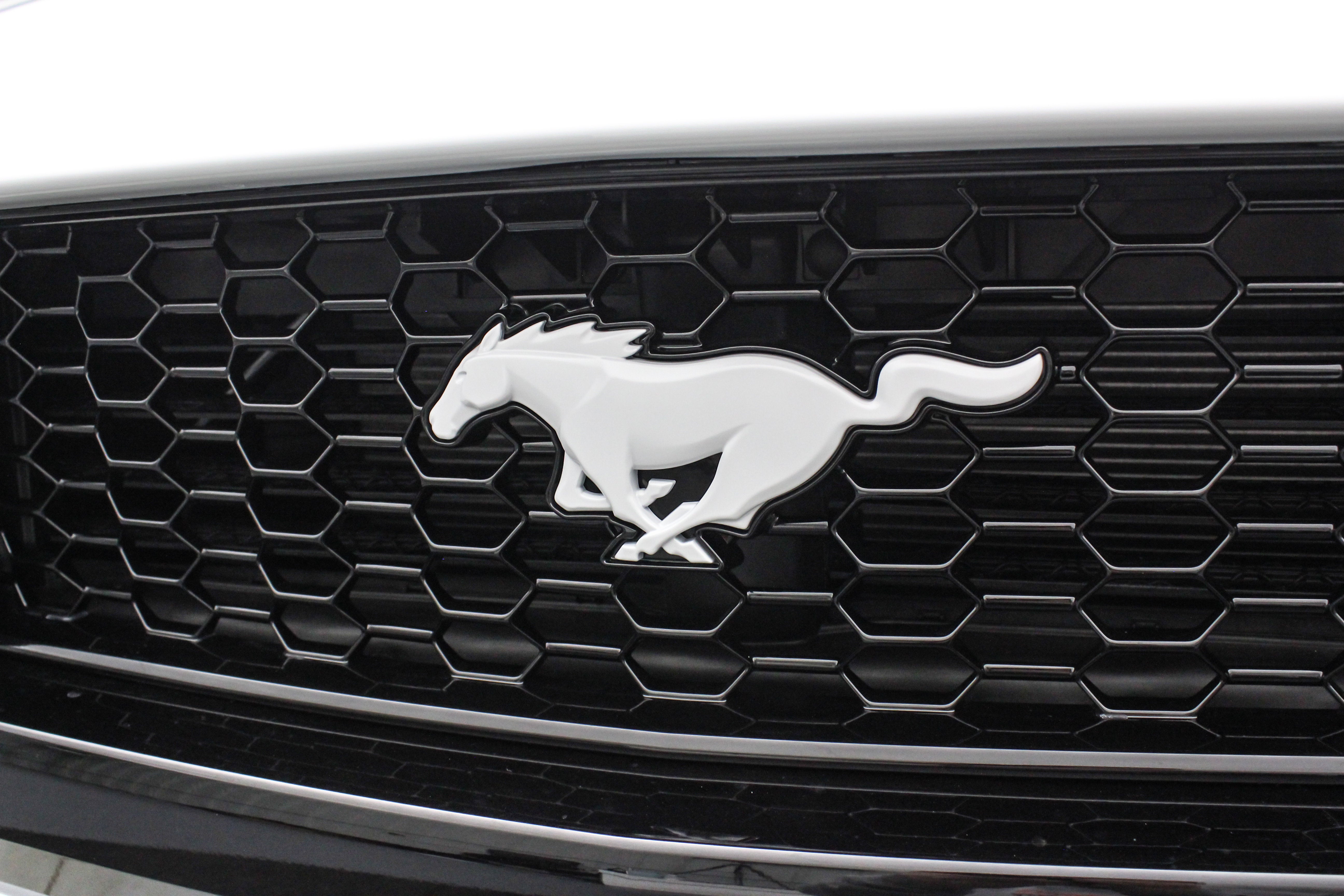 2026 Ford Mustang GT Premium w/FX