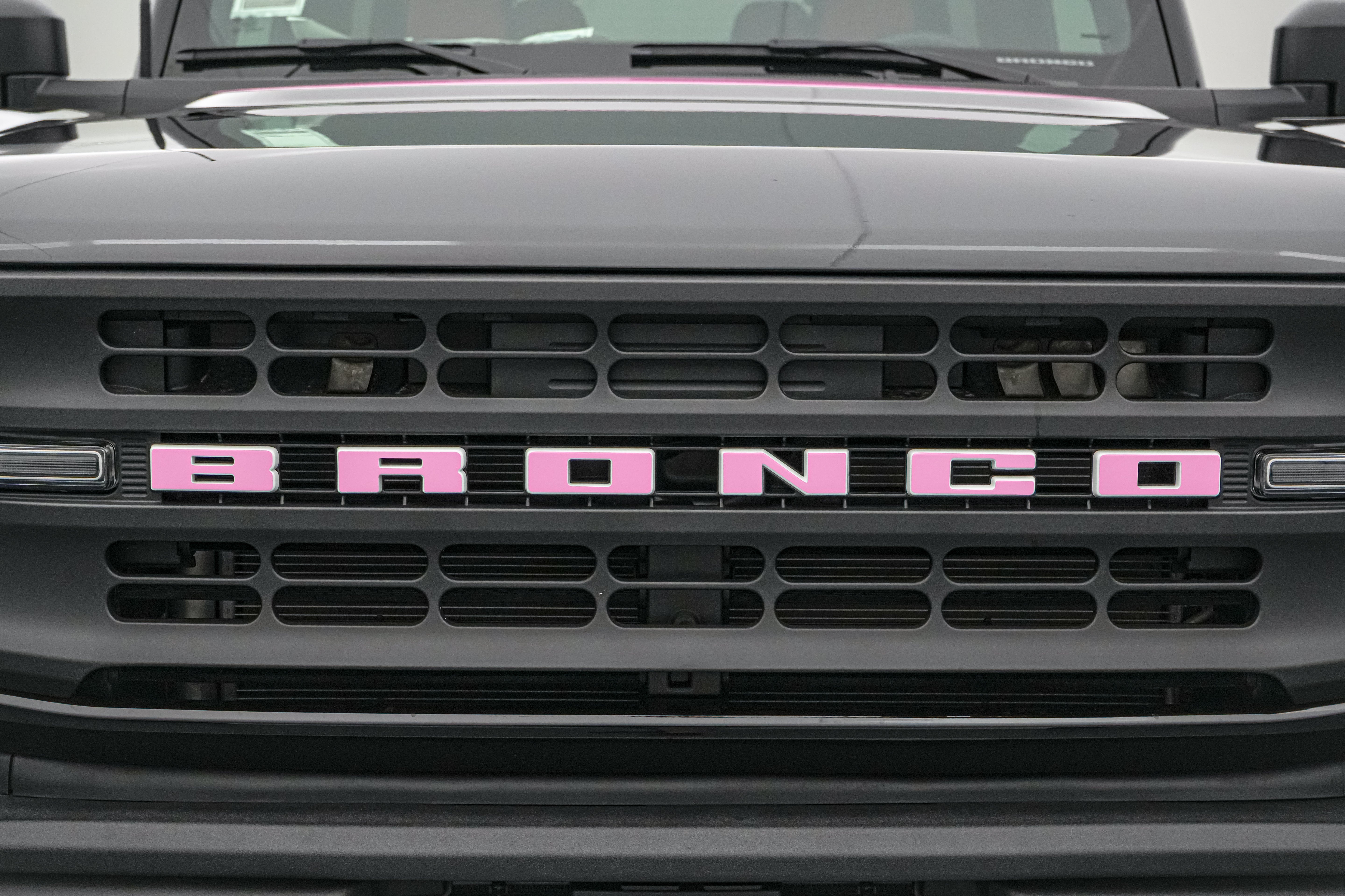 2026 Ford Bronco Vintage Pink