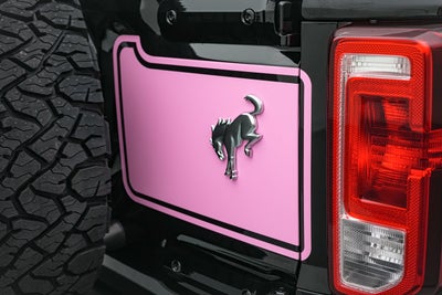 2026 Ford Bronco Vintage Pink