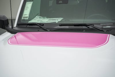 2026 Ford Bronco Vintage Pink