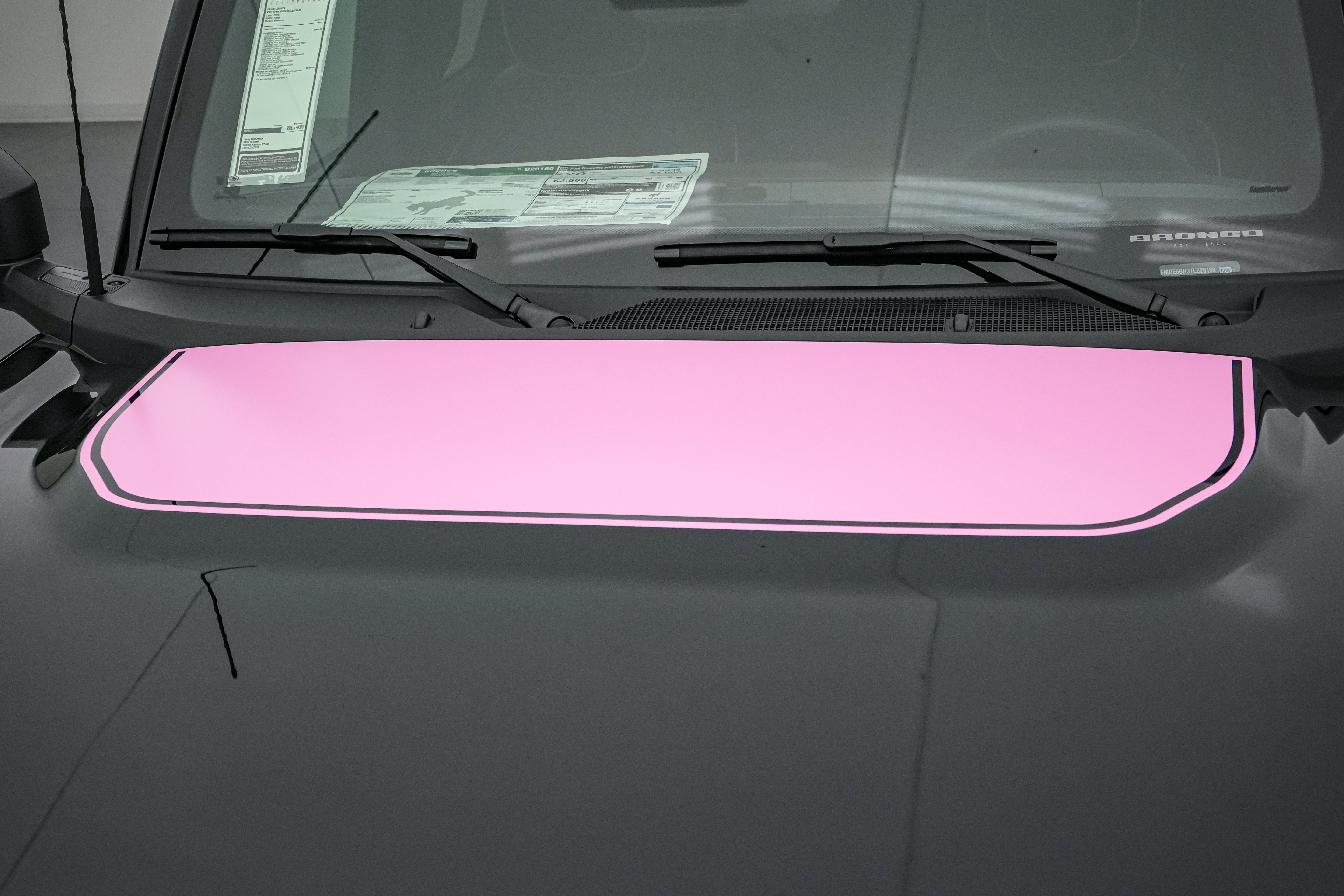 2026 Ford Bronco Vintage Pink