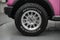 2026 Ford Bronco Vintage Pink Pony