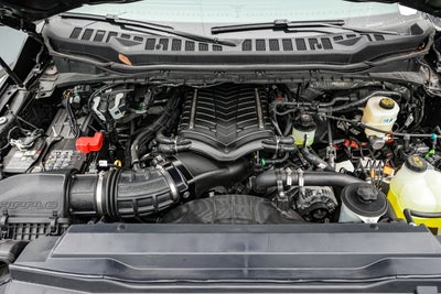 2025 Ford Super Duty F-250 SRW Highboy