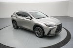 2024 Lexus NX 250 Premium