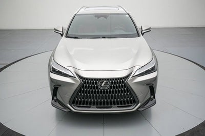 2024 Lexus NX 250 Premium