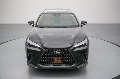 2022 Lexus NX 350 Premium