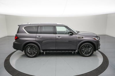 2024 INFINITI QX80 Sensory