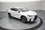 2024 Lexus NX 250 Premium