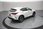 2024 Lexus NX 250 Premium