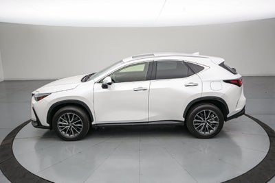 2024 Lexus NX 250 Premium