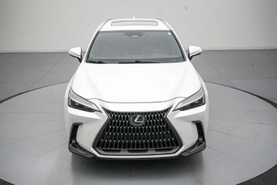 2024 Lexus NX 250 Premium