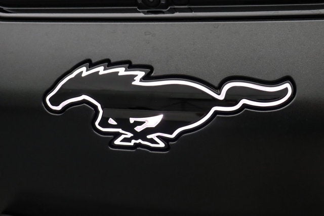 2025 Ford Mustang Mach-E GT Rally